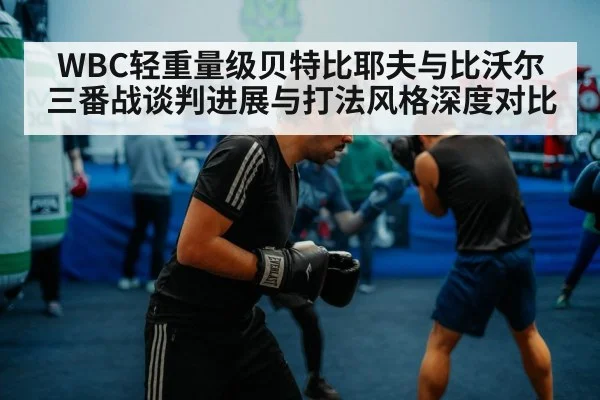 boxers sparring training